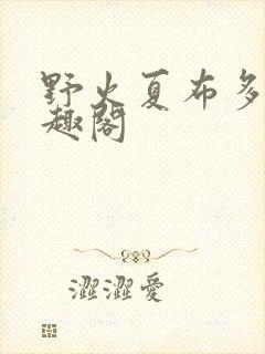 野火夏布多昂笔趣阁