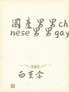 国产男男chinese男男gaygay网站
