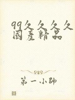99久久久久久国产精品封面