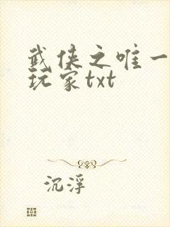 武侠之唯一神级玩家txt