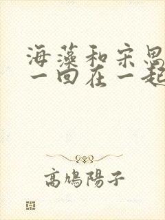 海藻和宋思明第一回在一起