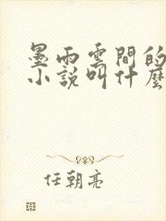 墨雨云间的原著小说叫什么