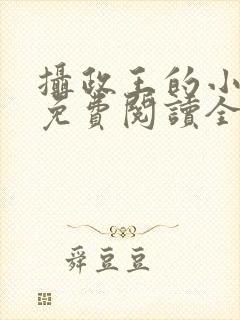 摄政王的小闲妻免费阅读全文