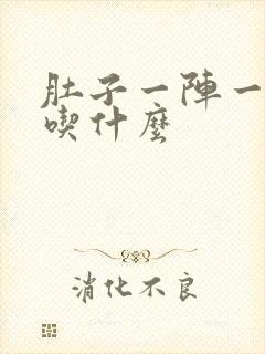 肚子一阵一阵痛吃什么