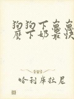 狗狗下崽崽吃什么下奶最快封面