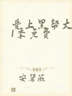 爱上黑帮大佬第1季免费