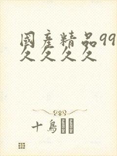 国产精品99久久久久久