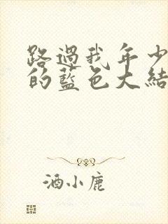 路过我年少时光的蓝色大结局
