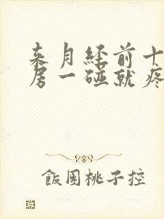 来月经前十天乳房一碰就疼封面