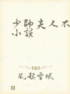 少帅夫人不好惹小说封面