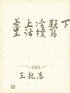 惹上冷殿下婚后生活续写封面