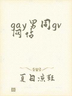 gay男同gv网站