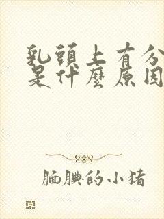 乳头上有分泌物是什么原因封面