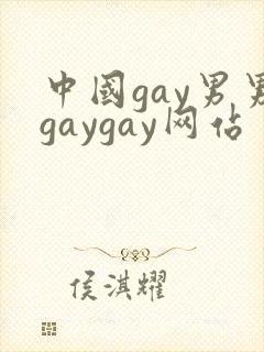 中国gay男男gaygay网站