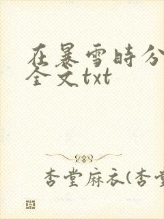 在暴雪时分小说全文txt