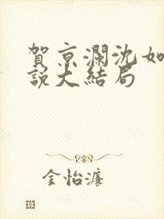 贺京澜沈如嫣小说大结局