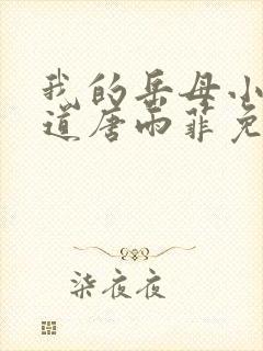 我的岳母小说林道唐雨菲免费阅读