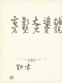 电影大追捕在线完整免费观看封面