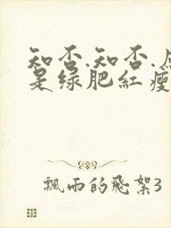 知否.知否.应是绿肥红瘦剧情介绍