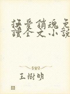 换爱销魂免费阅读全文小说最新章节