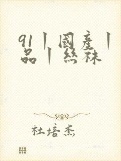 91丨国产丨精品丨丝袜