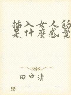 插入女人的阴道是什么感觉?