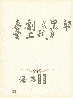 泰剧《黑帮少爷爱上我》封面