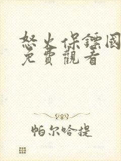 怒火保镖国语版免费观看