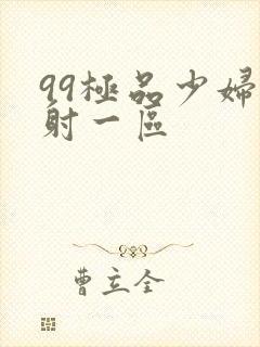 99极品少妇内射一区