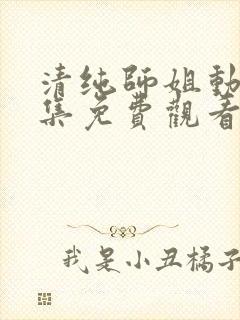 清纯师姐动漫全集免费观看完整版高清