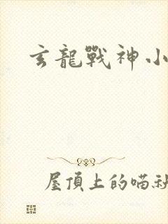 玄龙战神小说读封面