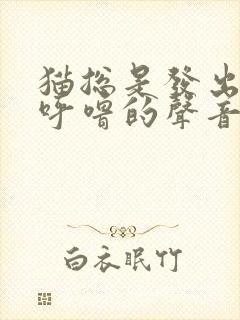 猫总是发出呼噜呼噜的声音是为什么封面