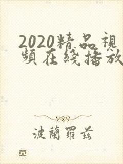 2020精品视频在线播放