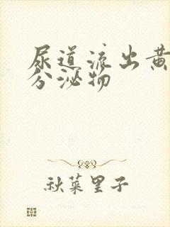 尿道流出黄脓状分泌物封面