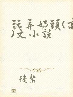 玩弄奶头(高h)文小说