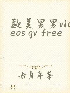 欧美男男videos gv free