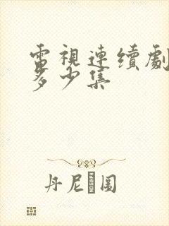 电视连续剧密查多少集