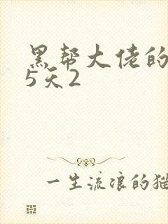 黑帮大佬的365天2