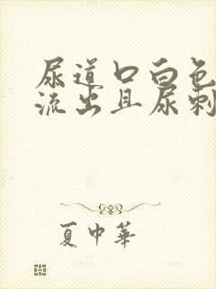 尿道口白色液体流出且尿刺痛