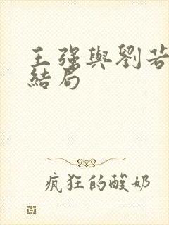 王强与刘若琳的结局封面