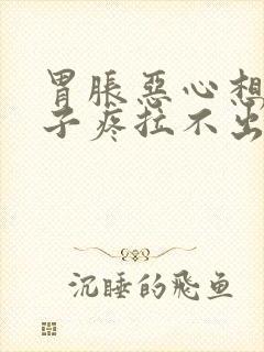 胃胀恶心想吐肚子疼拉不出来大便