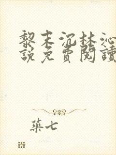 黎末沉林沁染小说免费阅读最新章节封面