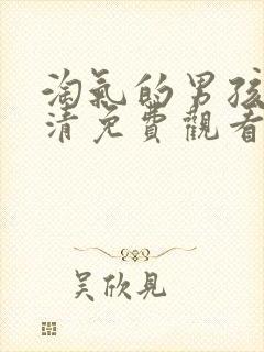 淘气的男孩们高清免费观看