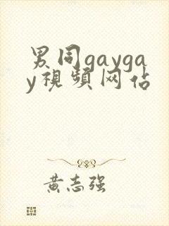 男同gaygay视频网站