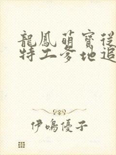 龙凤萌宝从天降特工爹地追着宠短剧封面