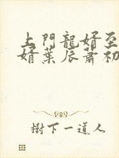 上门龙婿至尊龙婿叶辰萧初然