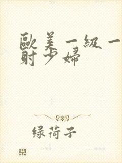 欧美一级一片内射少妇