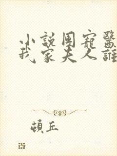 小说团宠医妃:我家夫人谁敢惹