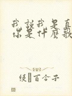 我说我是真的爱你是什么歌的歌词