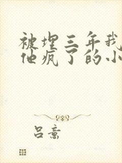 被埋三年我死了他疯了的小说